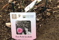 “Due mondi e una rosa per Anita" premiato dalla Regione